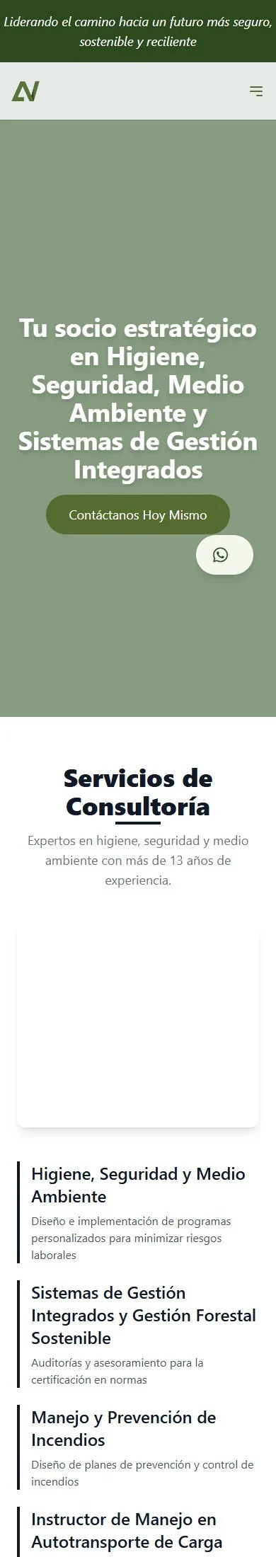 Página completa del sitio de AN Asociados en teléfono.