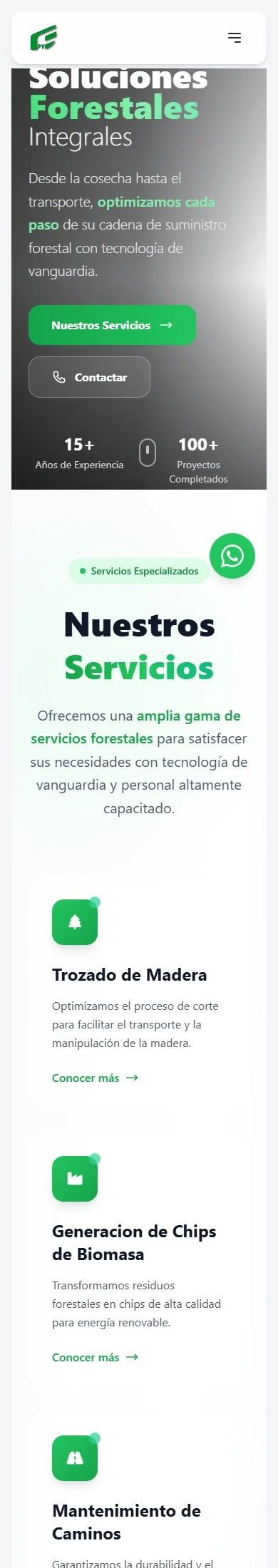 Página completa del sitio de Forestal Paraguay en teléfono.